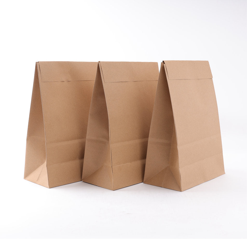 Kraft Paper Courier Bag 340 x 530 x 210mm M163