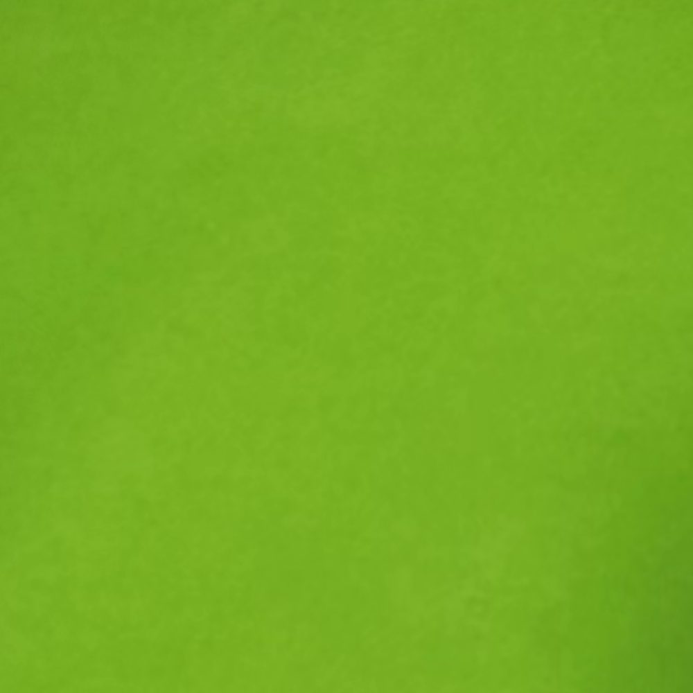 Tissue Paper 50cm x 70cm Gift Wrapping Paper Acid Free Fresh Leaves TP026