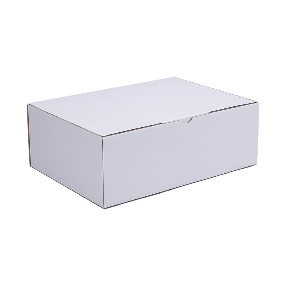 220 x 160 x 77mm A5 Die cut White Mailing Box B38