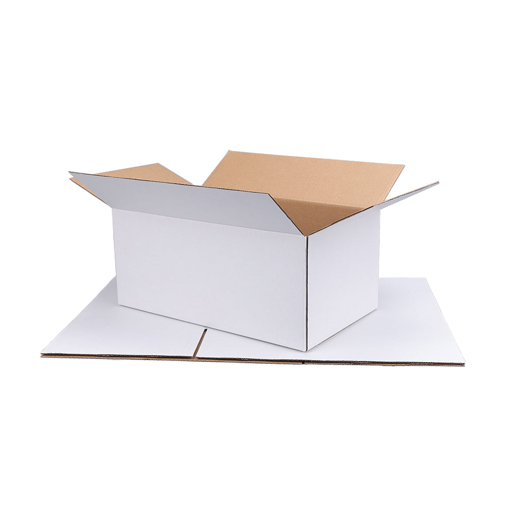 270 x 160 x 120mm Regular Slotted Mailing Box White B41