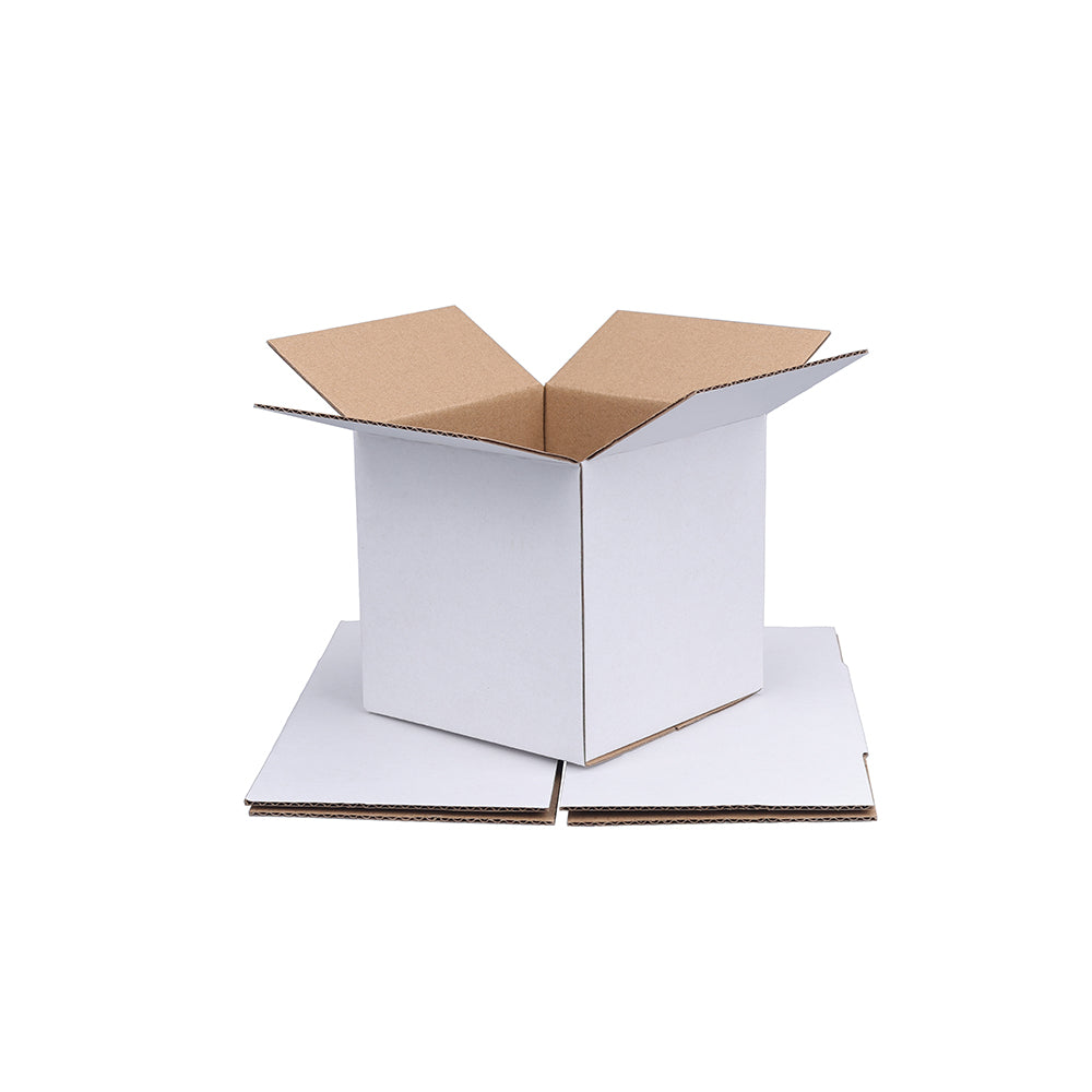 Mailing Box 100 x 100 x 100mm Regular White B159