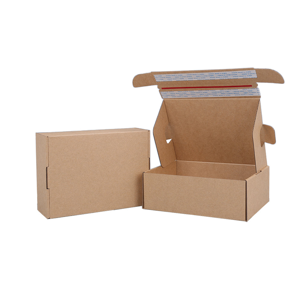 Self Sealing eCommerce Mailing Box 220x160x77mm B140