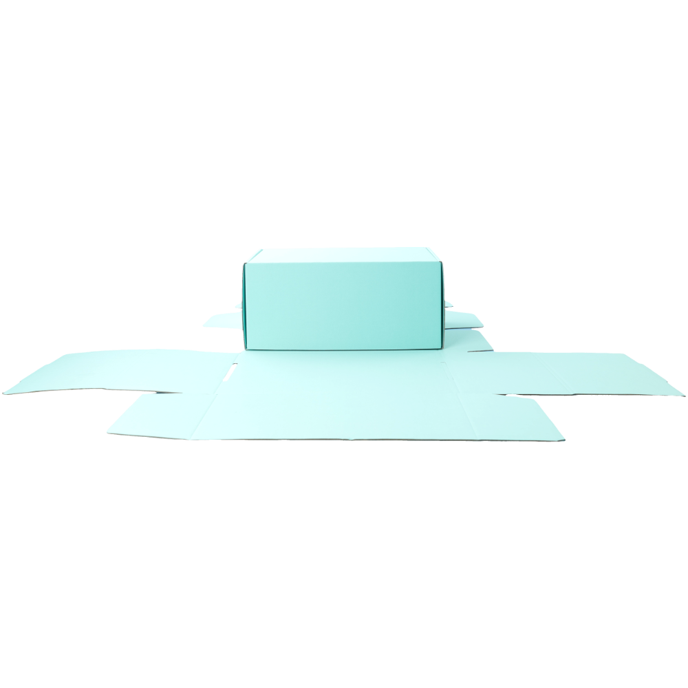 270 x 160 x 120mm Premium Tuck Full Mint Blue Mailing Box B356