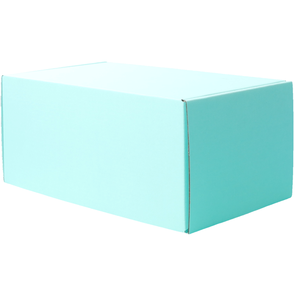 270 x 160 x 120mm Premium Tuck Full Mint Blue Mailing Box B356