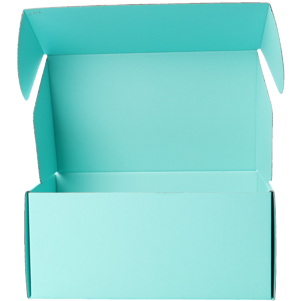 270 x 160 x 120mm Premium Tuck Full Mint Blue Mailing Box B356