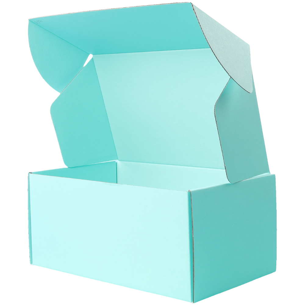 270 x 160 x 120mm Premium Tuck Full Mint Blue Mailing Box B356