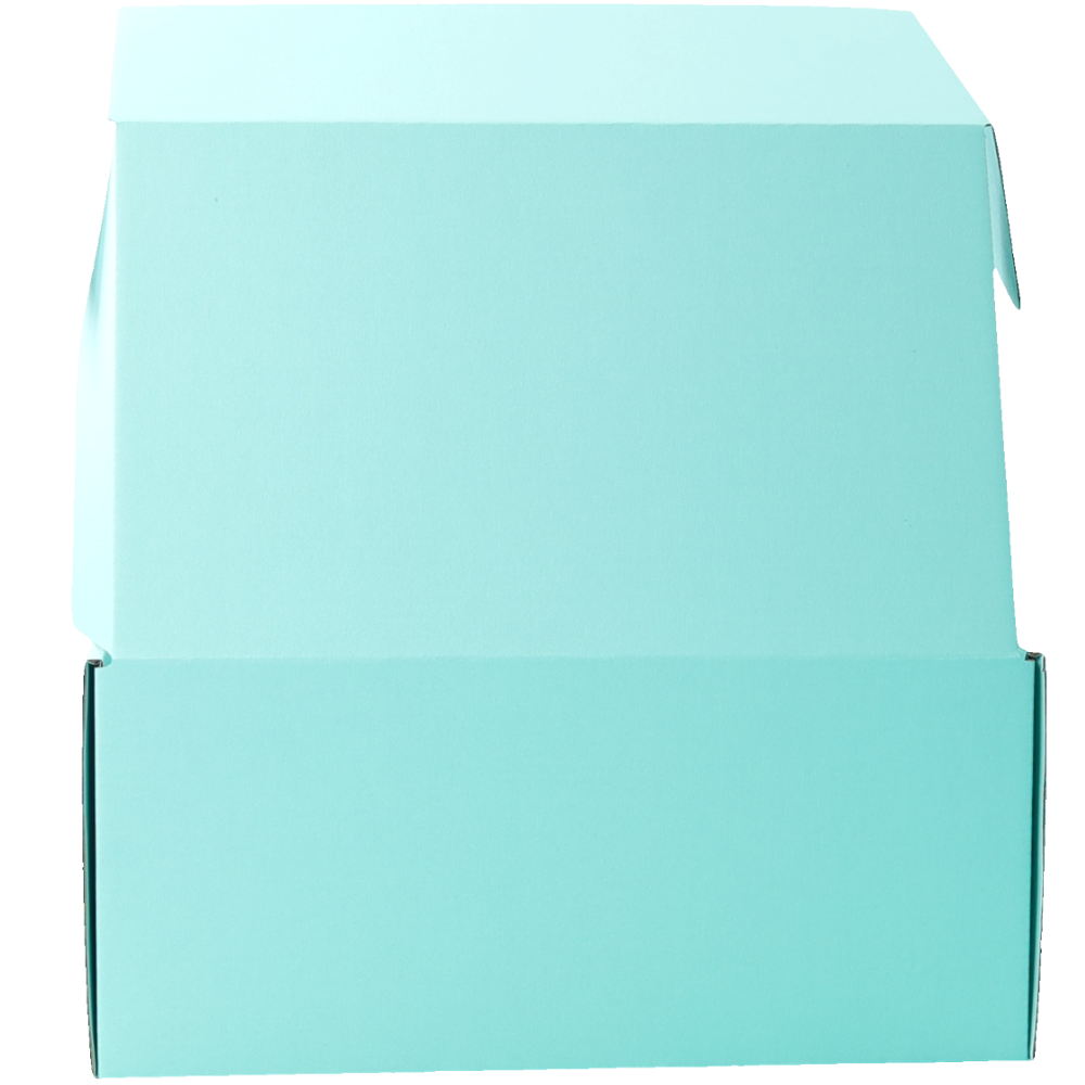 270 x 160 x 120mm Premium Tuck Full Mint Blue Mailing Box B356