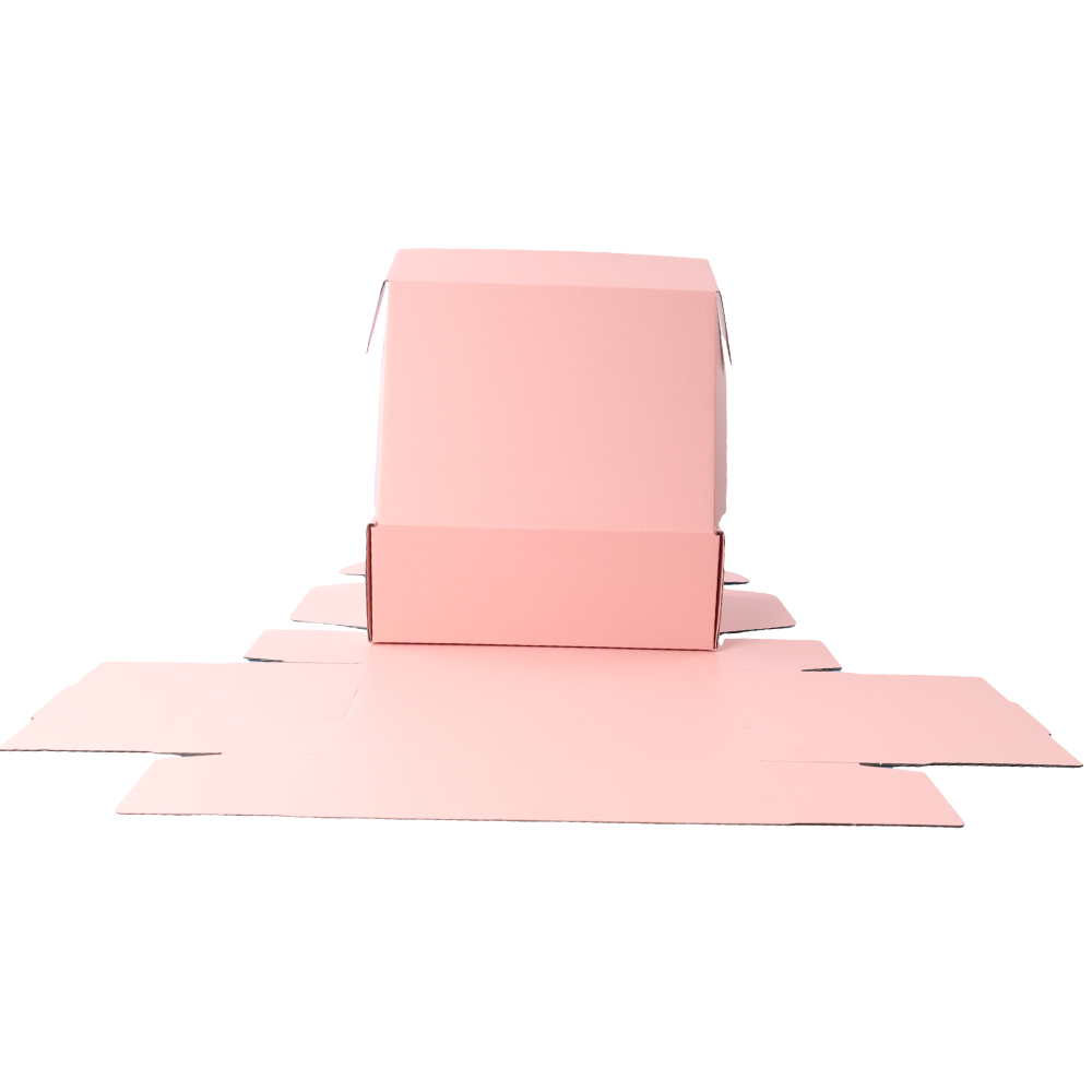 220 x 160 x 77mm A5 Premium Tuck Full Rose Pink Mailing Box B307
