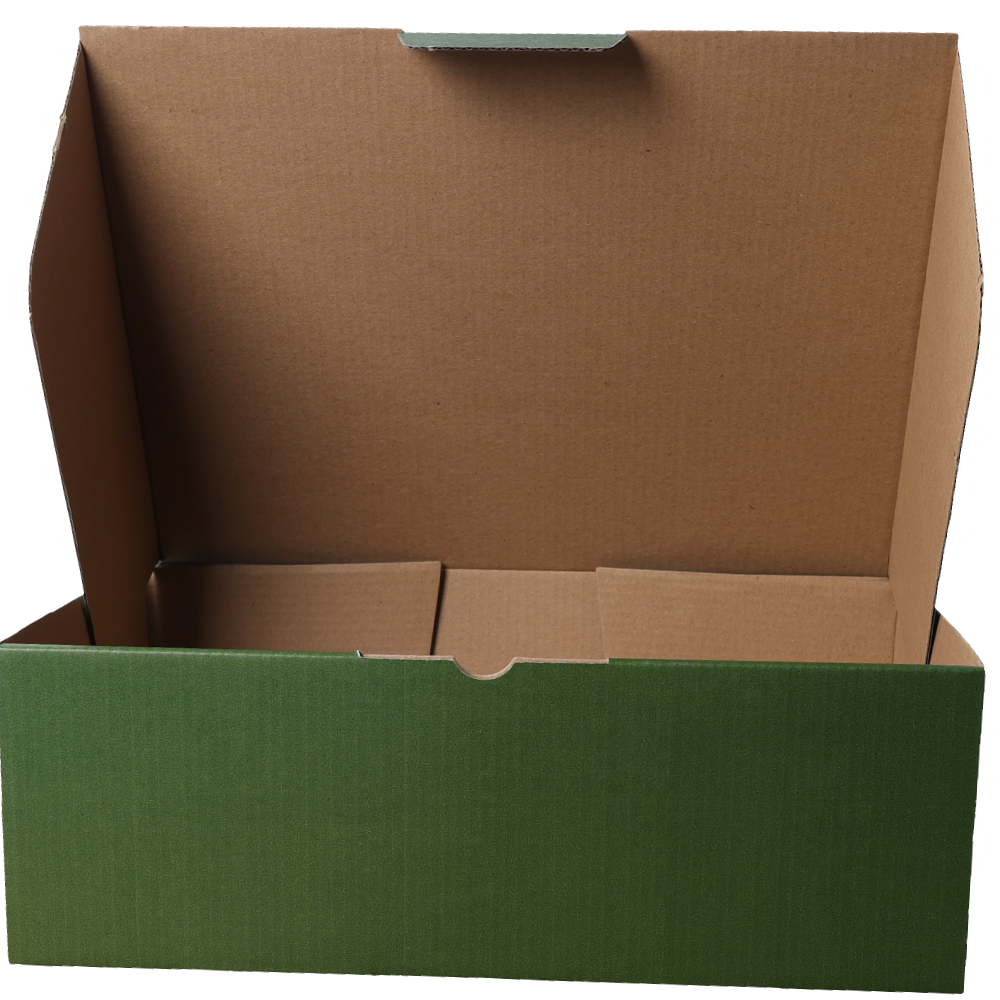 310 x 230 x 105mm A4 Die cut Green Mailing Box B60