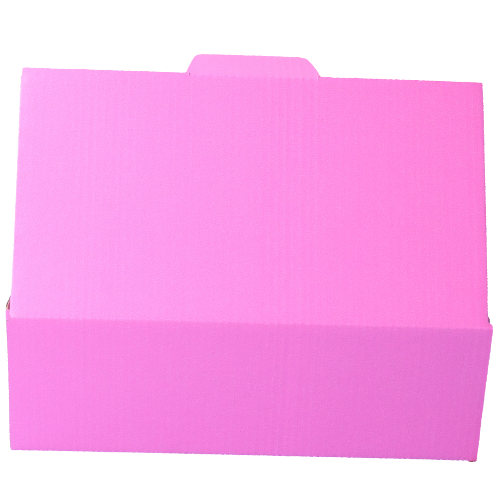 240 x 125 x 75mm Die cut Hot Pink Mailing Box B73
