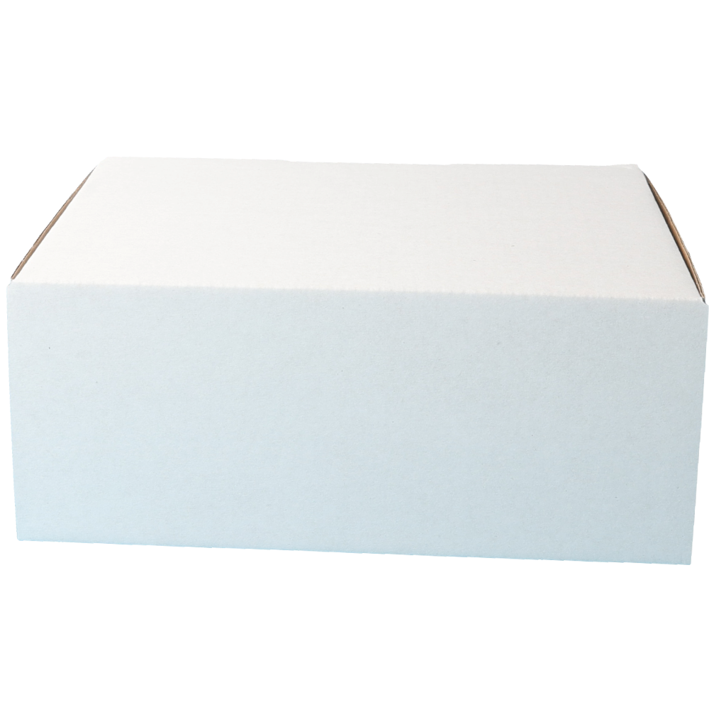 220 x 160 x 90mm A5 Die cut White Mailing Box B90