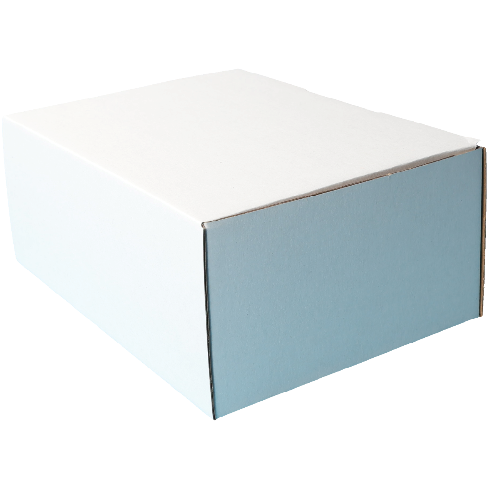 220 x 160 x 90mm A5 Die cut White Mailing Box B90