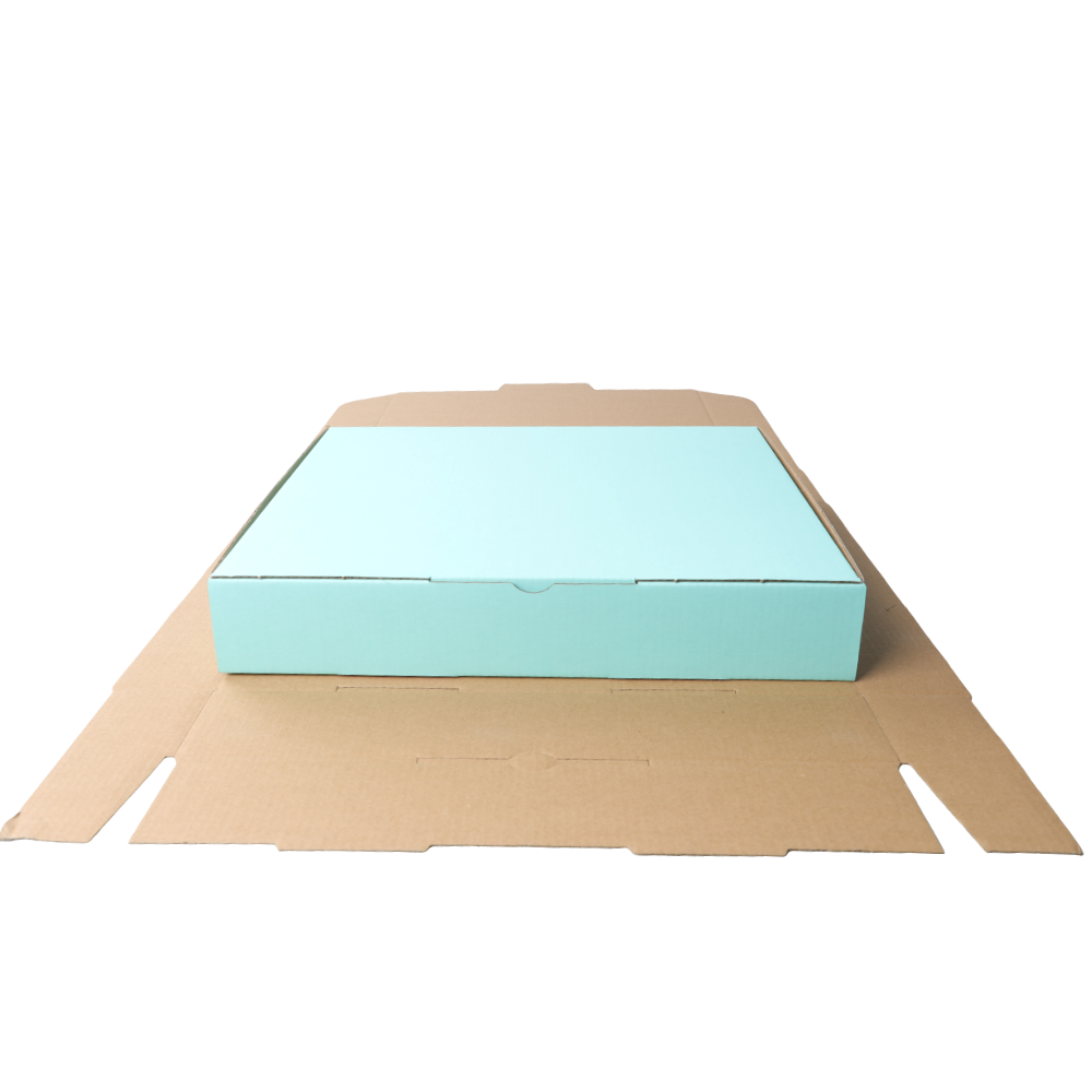 310 x 250 x 50mm Die cut Mint Blue Mailing Box B384