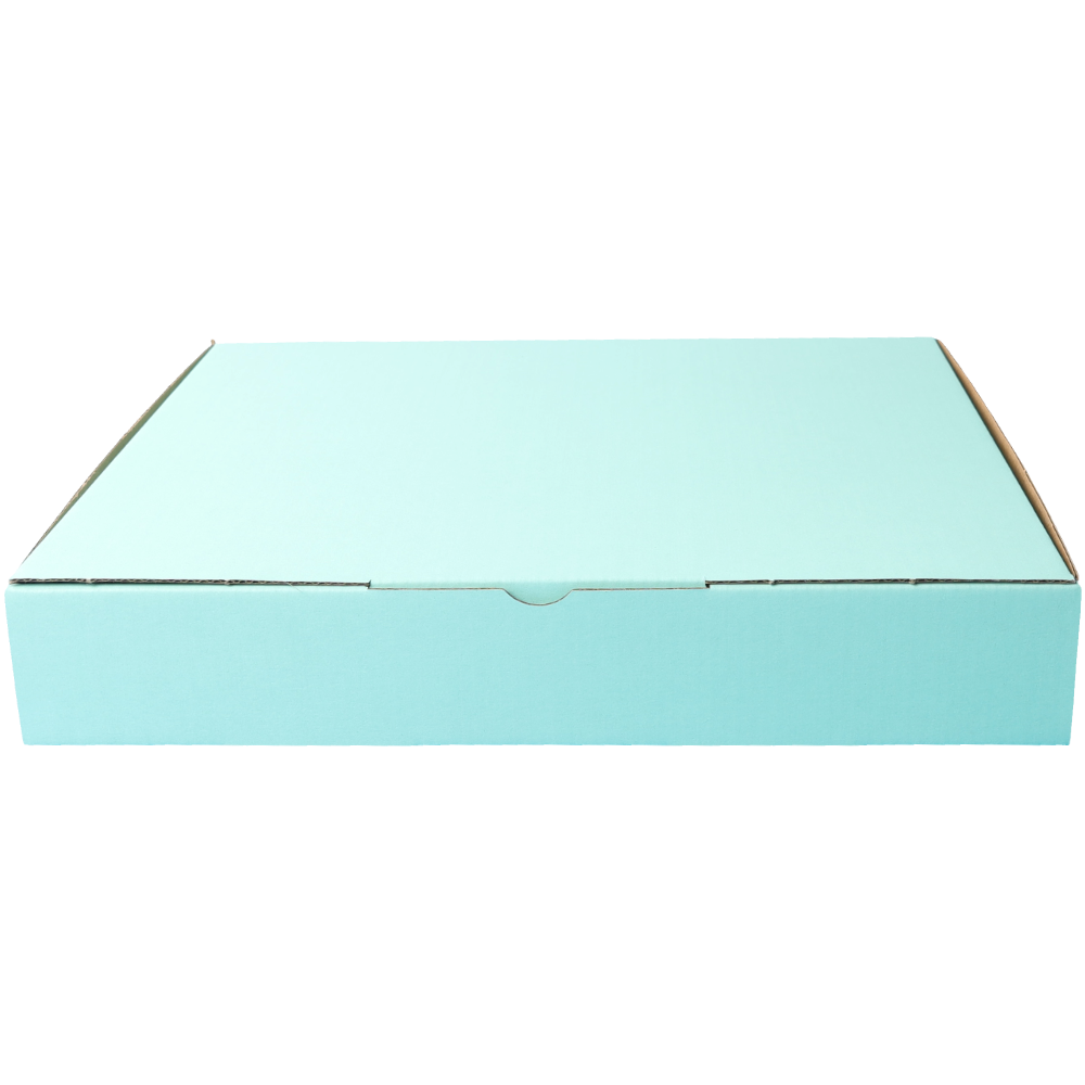 310 x 250 x 50mm Die cut Mint Blue Mailing Box B384