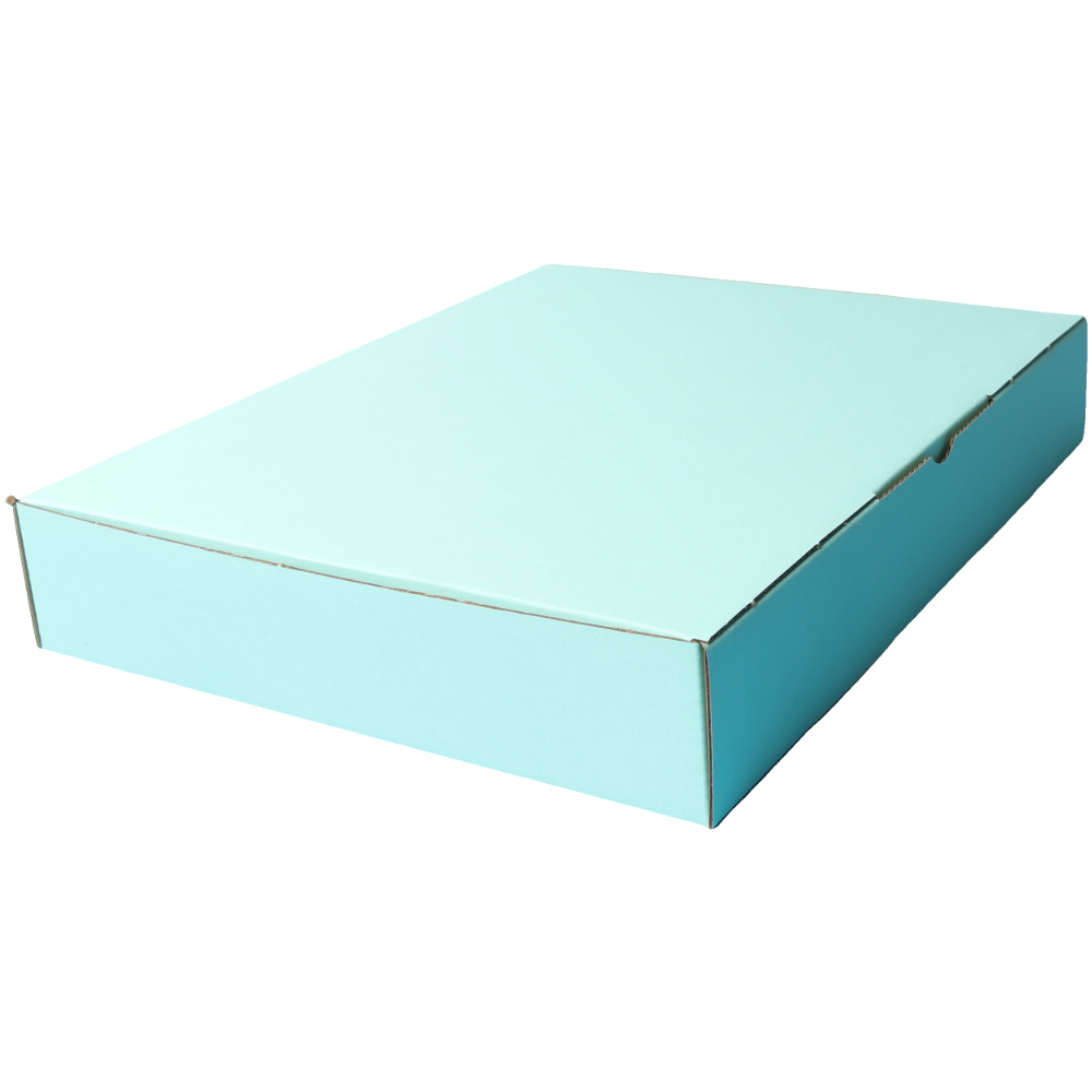 310 x 250 x 50mm Die cut Mint Blue Mailing Box B384