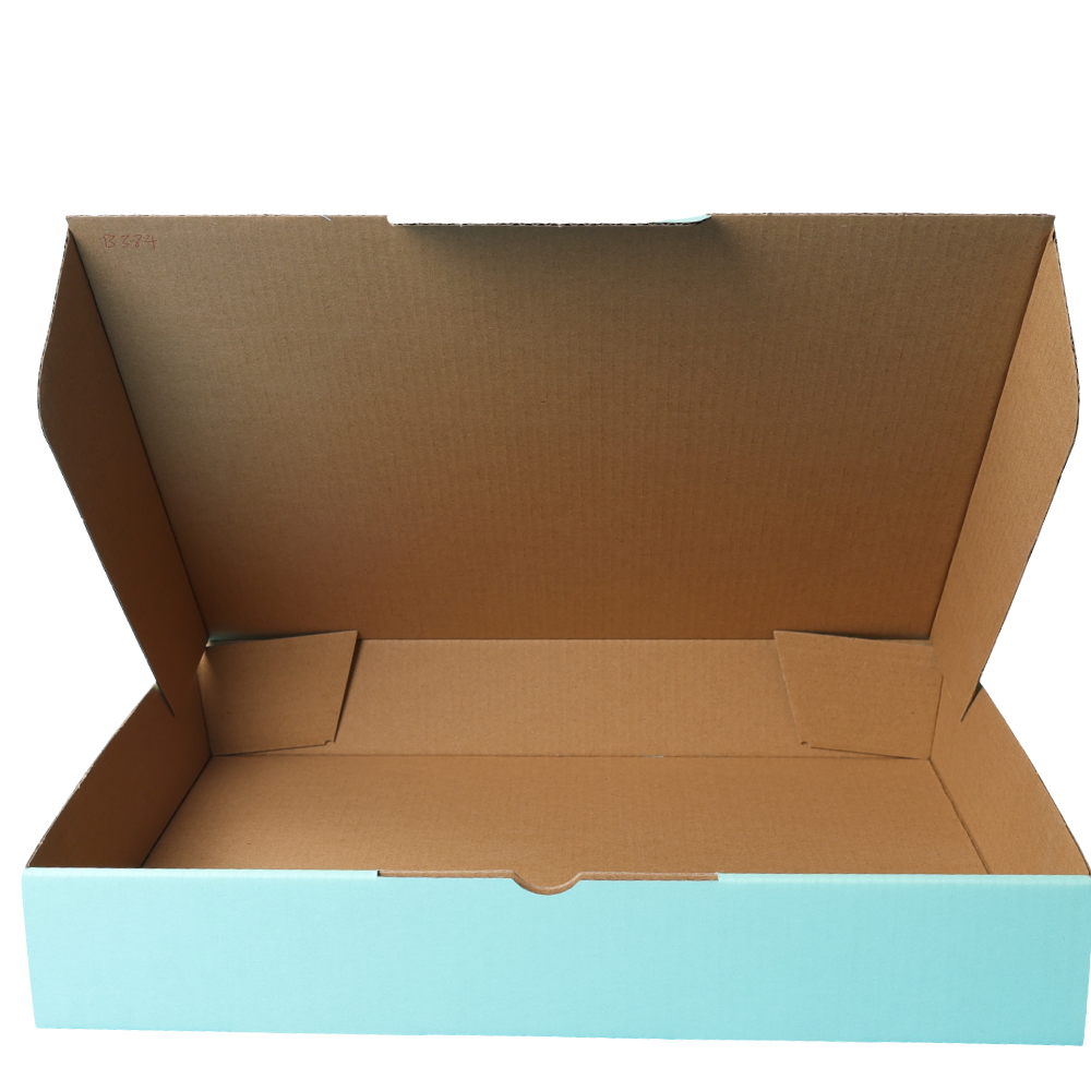 310 x 250 x 50mm Die cut Mint Blue Mailing Box B384