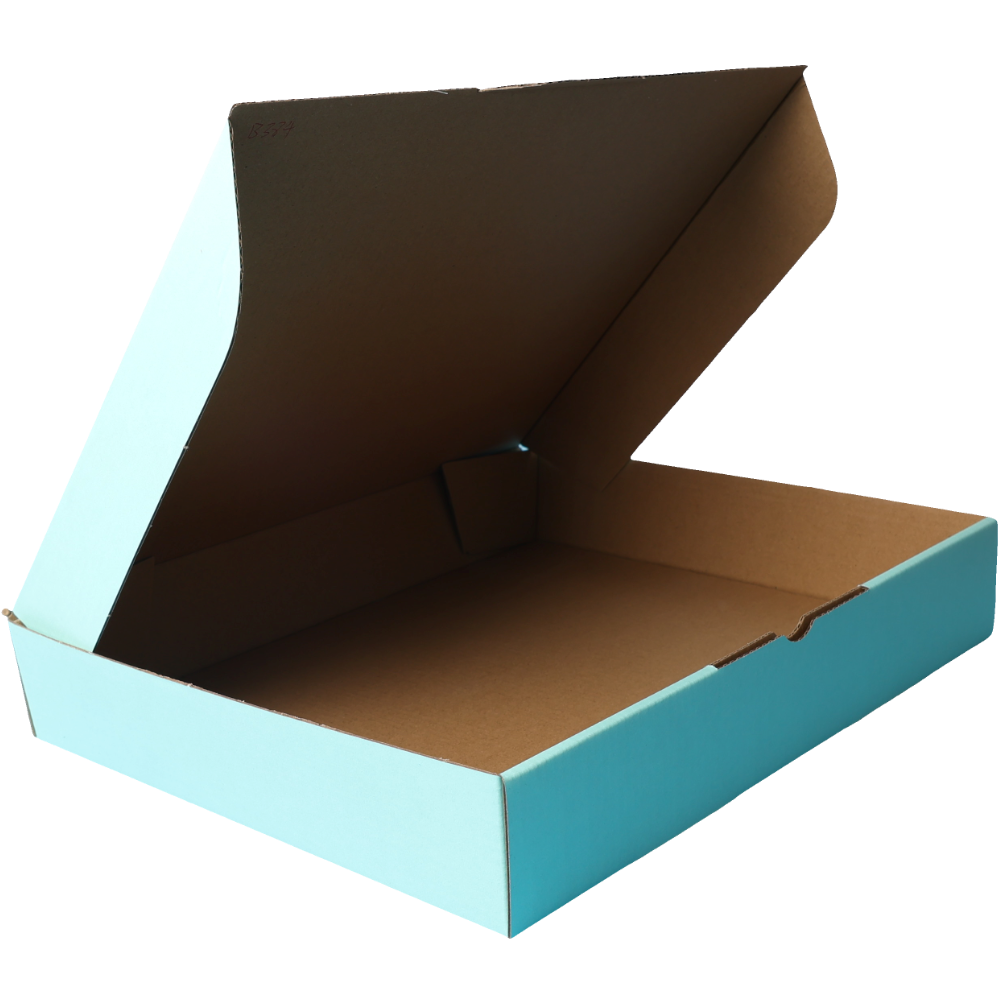 310 x 250 x 50mm Die cut Mint Blue Mailing Box B384