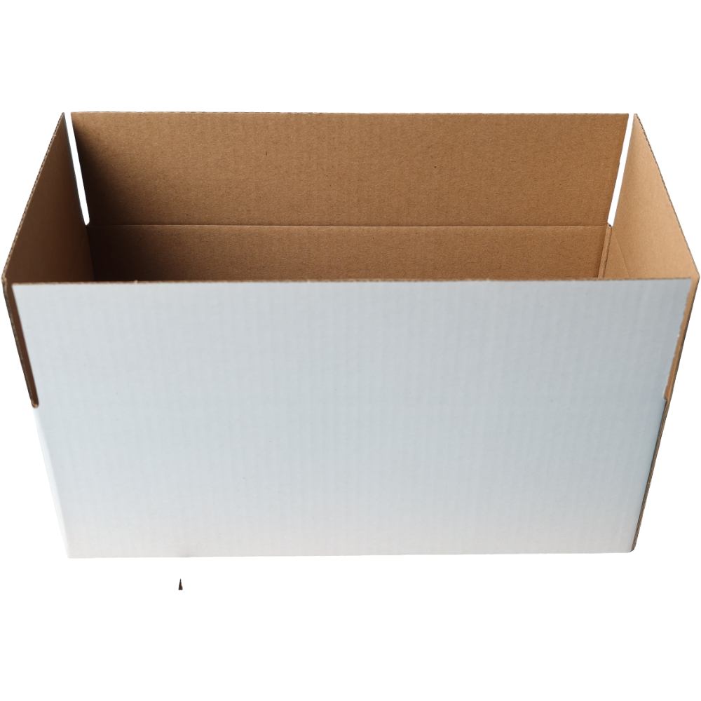 220 x 110 x 80mm Regular White Mailing Box B50