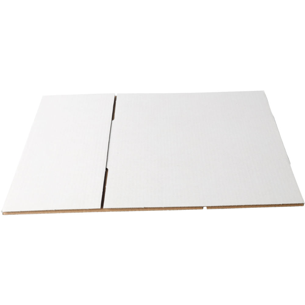 220 x 110 x 80mm Regular White Mailing Box B50