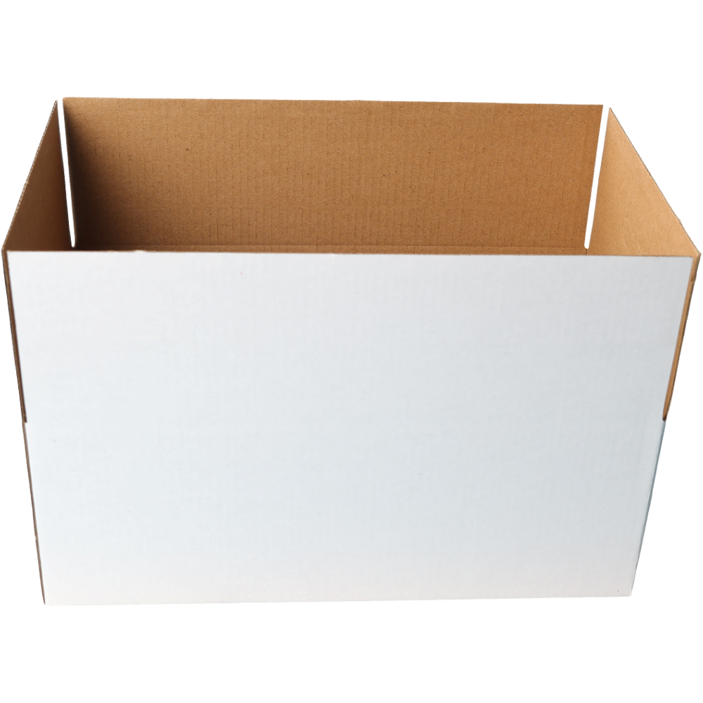 270 x 160 x 100mm Regular Carton White Mailing Box B111