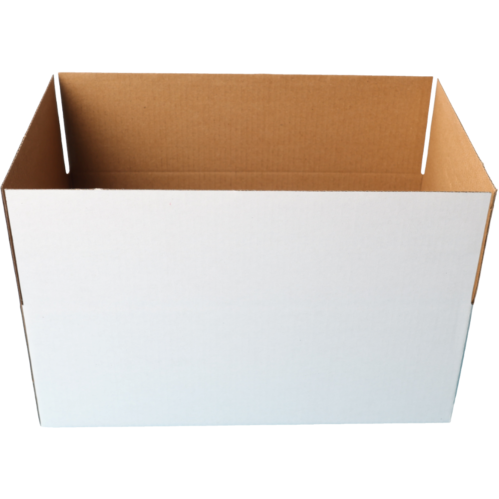 270 x 160 x 100mm Regular Carton White Mailing Box B111