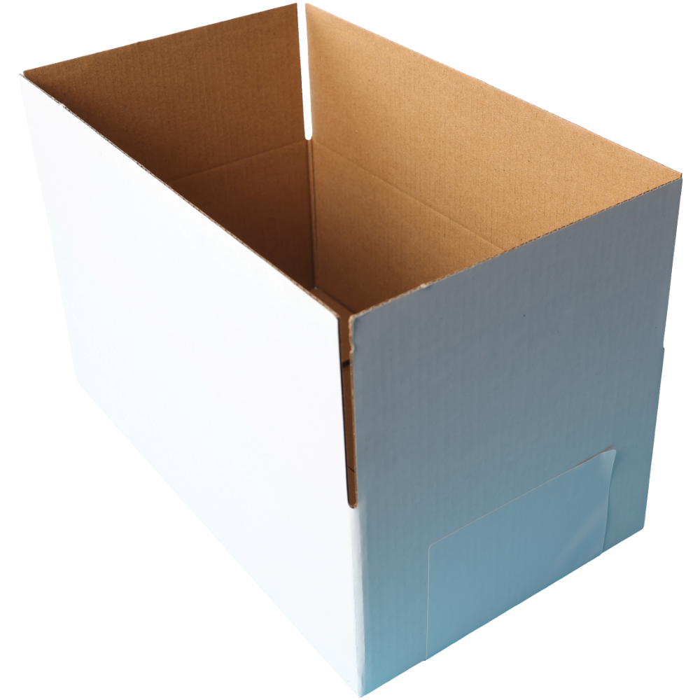 270 x 160 x 100mm Regular Carton White Mailing Box B111