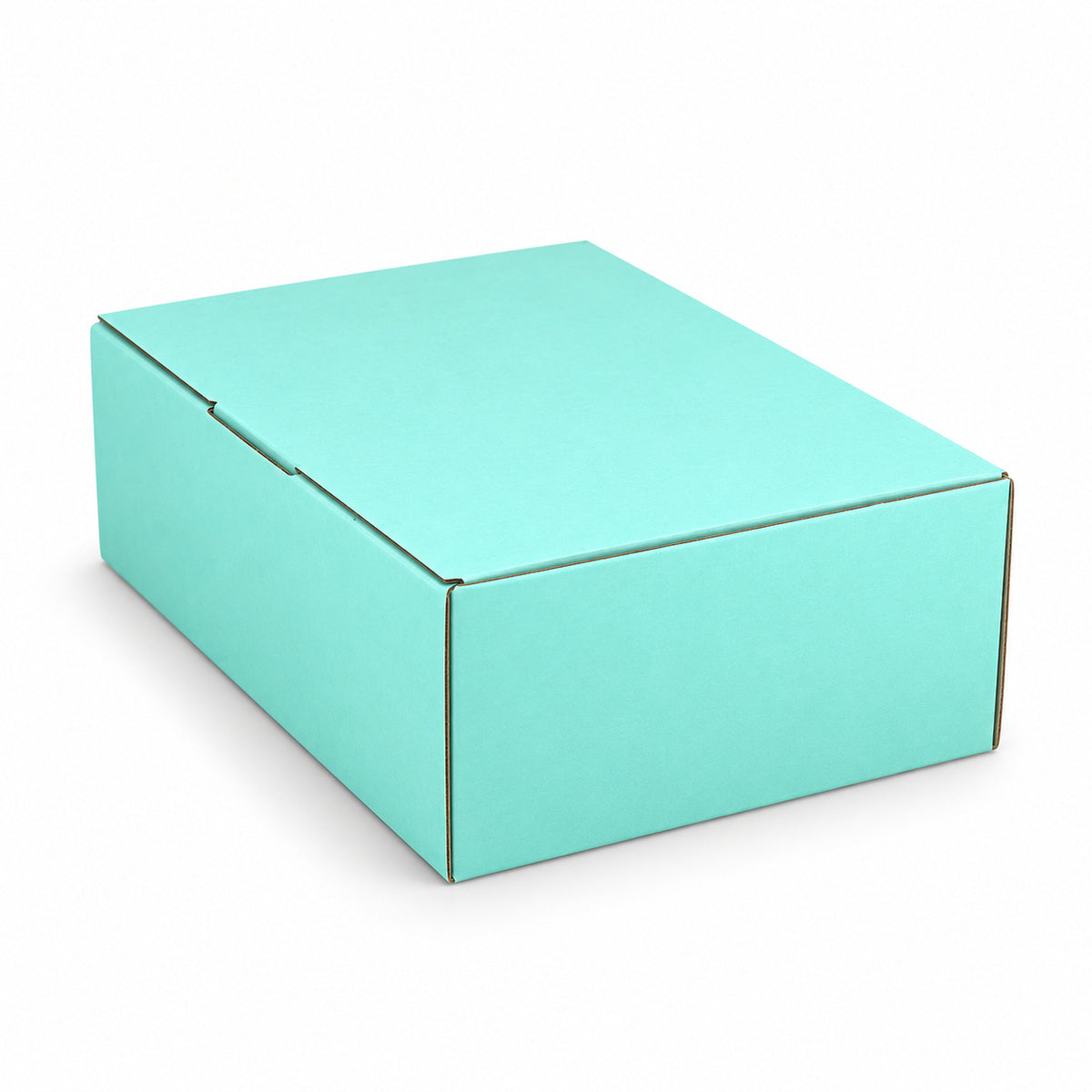 B334 220 x 160 x 77mm mint blue diecut mailing box – closed hero
