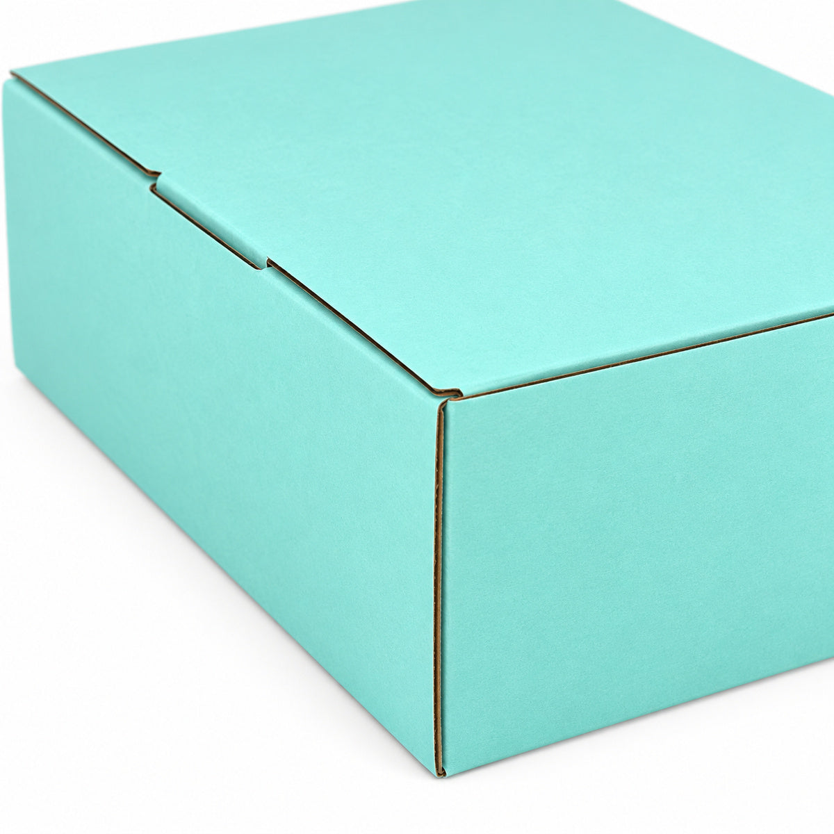 B334 220 x 160 x 77mm mint blue diecut mailing box – closure detail