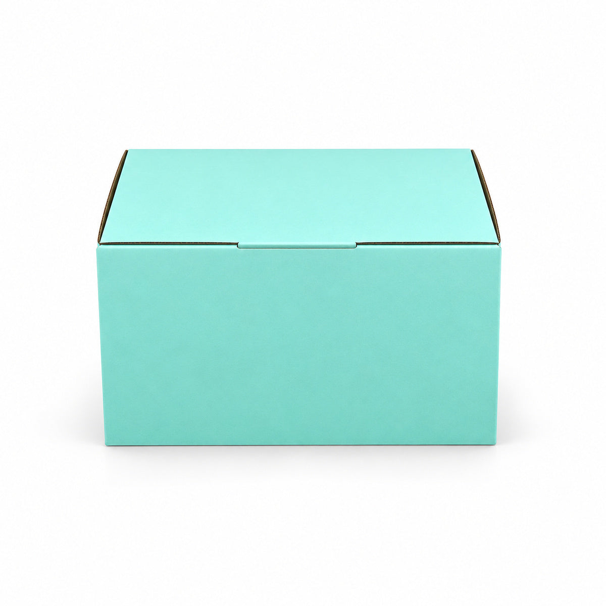B343 230 x 180 x 130mm mint blue diecut mailing box – closed alternate