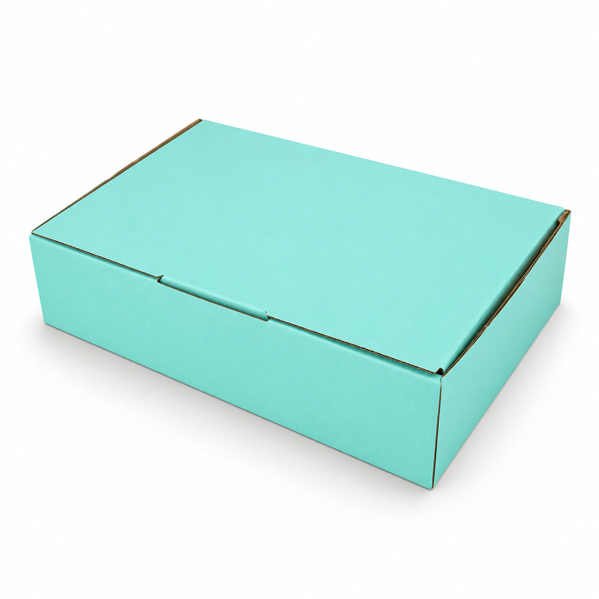 B372 210 x 140 x 60mm mint blue diecut mailing box – closed hero
