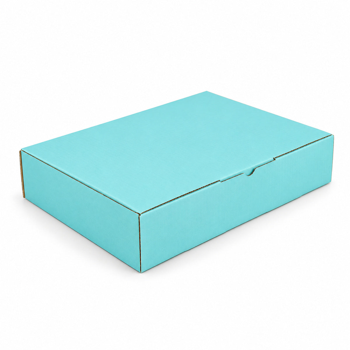 B378 270 x 200 x 55mm mint blue diecut mailing box – closed hero