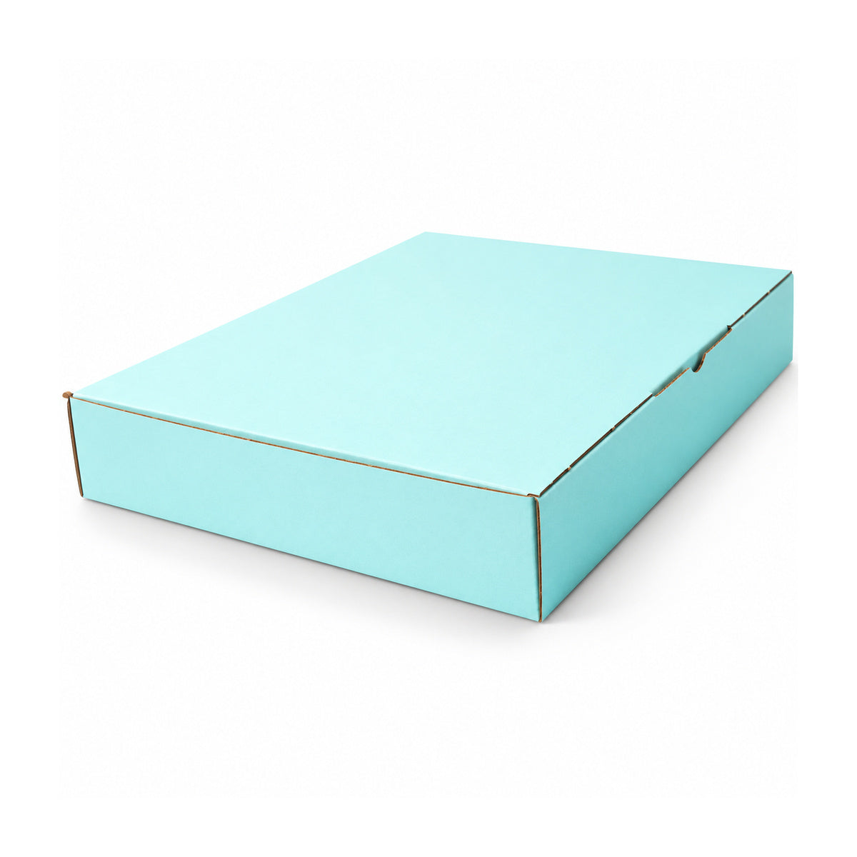 B384 310 x 250 x 50mm mint blue diecut mailing box – closed hero