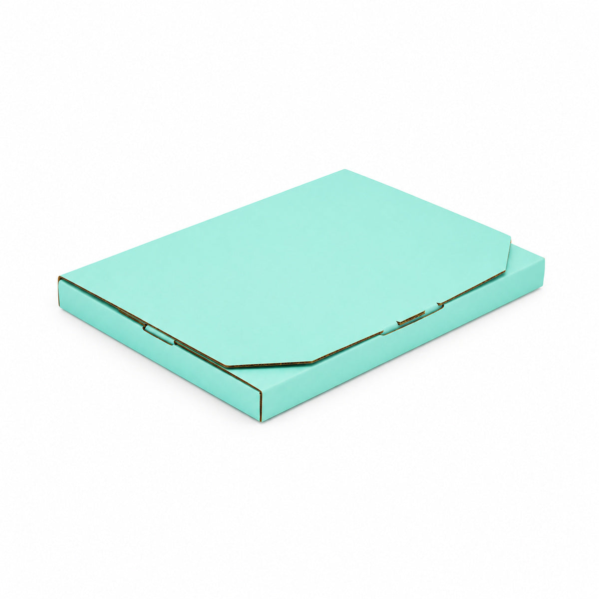 B350 310 x 220 x 16mm mint blue diecut mailing box – variant photo