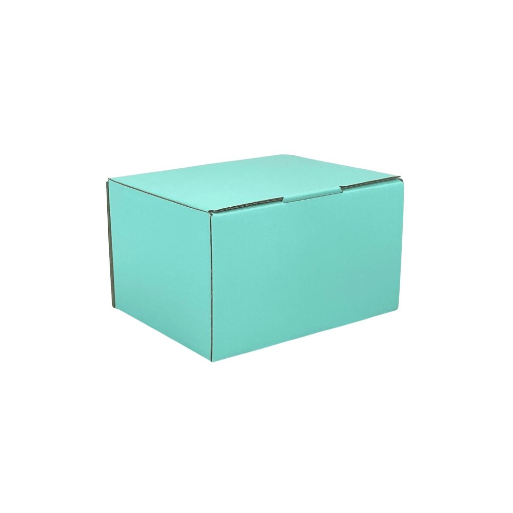 125 x 100 x 75mm Mint Blue Mailing Box B336