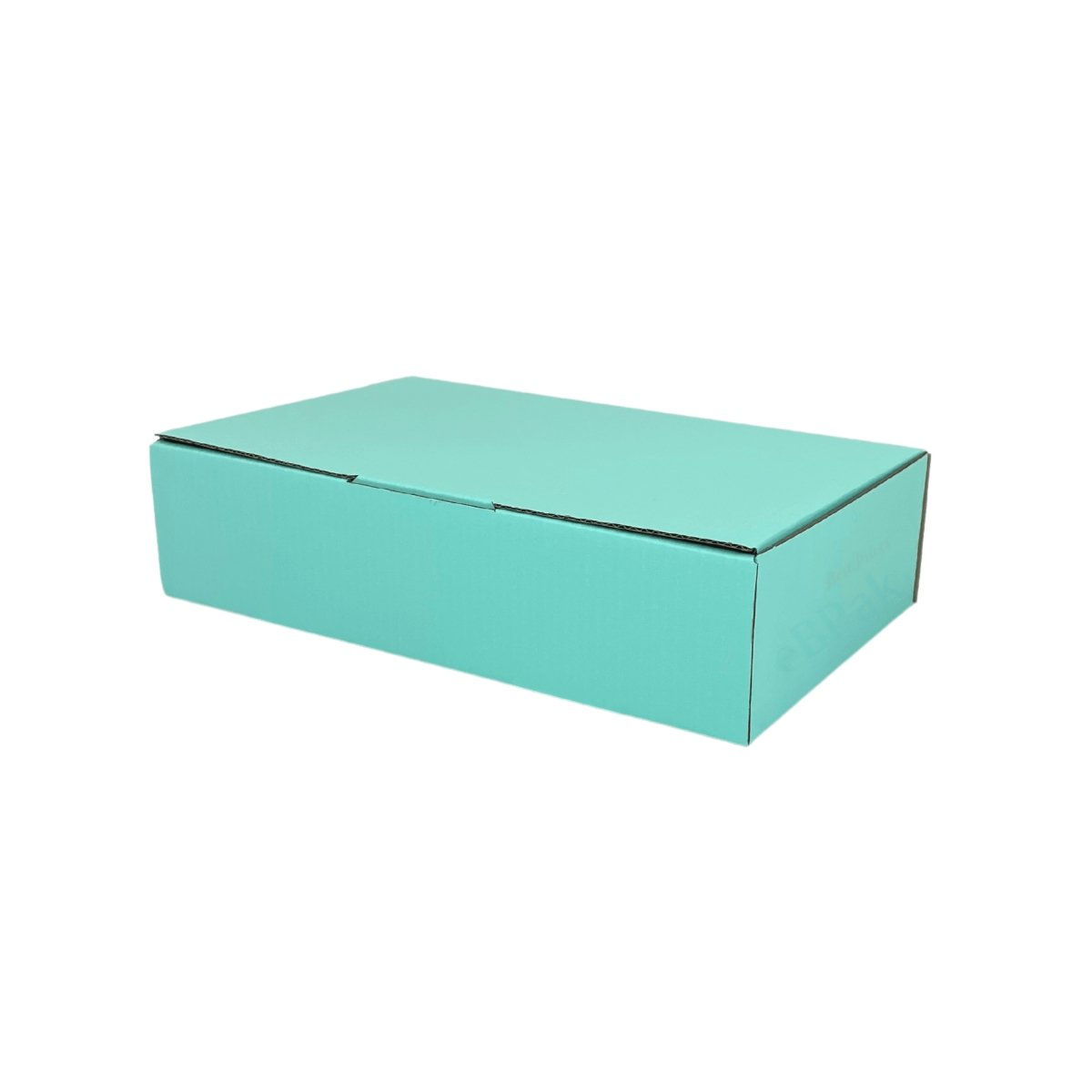 210 x 140 x 60mm Diecut Mint Blue Mailing Box