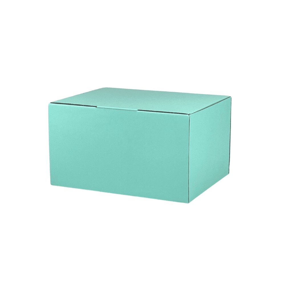 Mint Blue 230 x 180 x 130mm Mailing Box B343