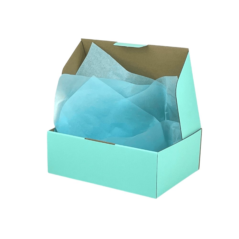 BoxMore 250 x 190 x 90mm Mint Blue Mailing Box B346