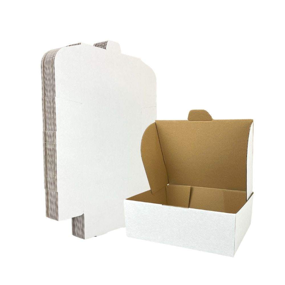 220 x 130 x 95mm Mailing Box B95