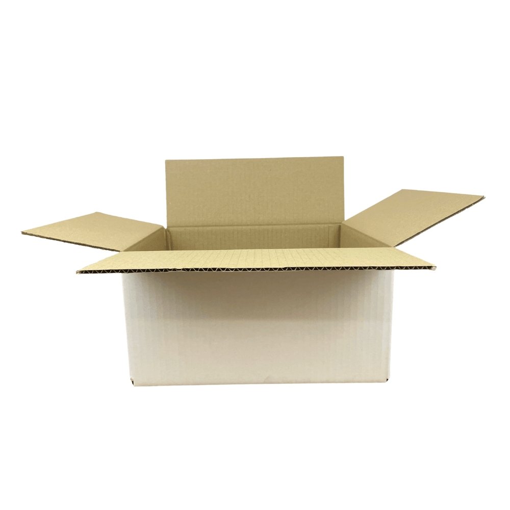 Mailing Box 320 x 240 x 160mm PLUS Shipping Carton eBPak