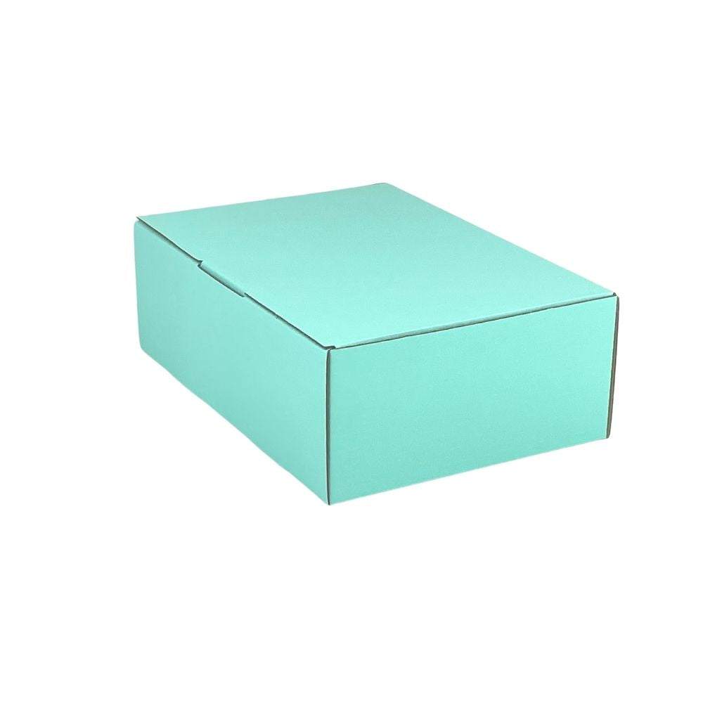 220 x 160 x 77mm Mint Blue Mailing Box B334