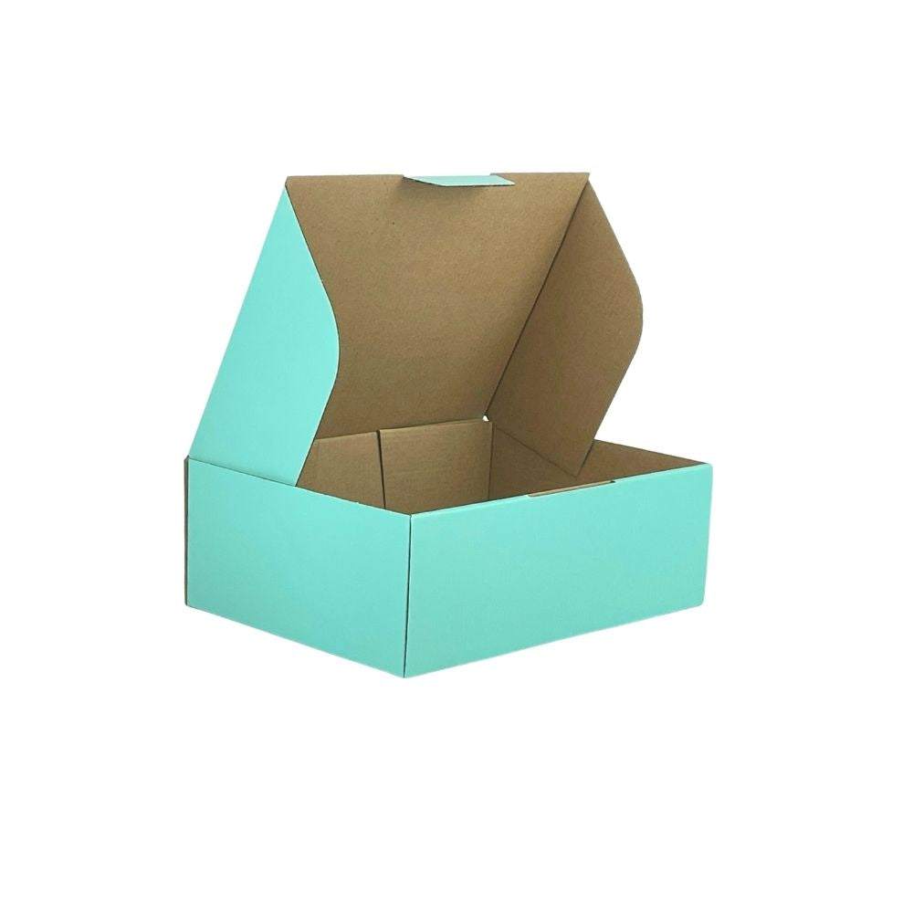 Mint Blue 270 x 200 x 95mm Mailing Box