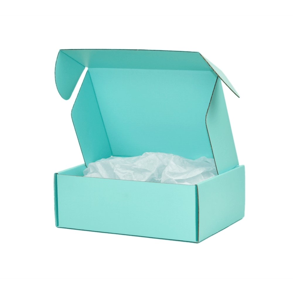 Premium Full Mint Blue 240 x 150 x 60mm Mailing Box B355