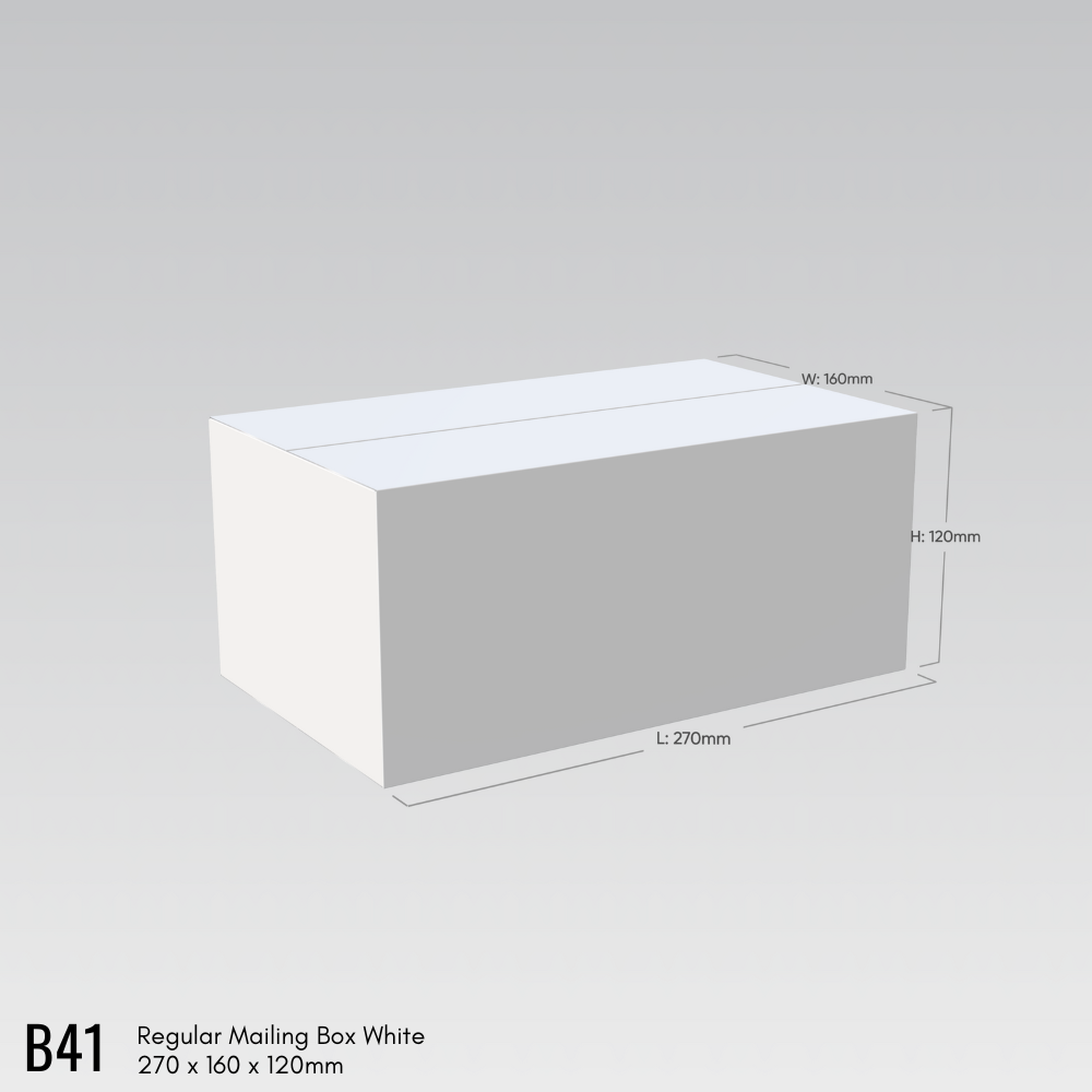 270 x 160 x 120mm Regular Mailing Box White B41