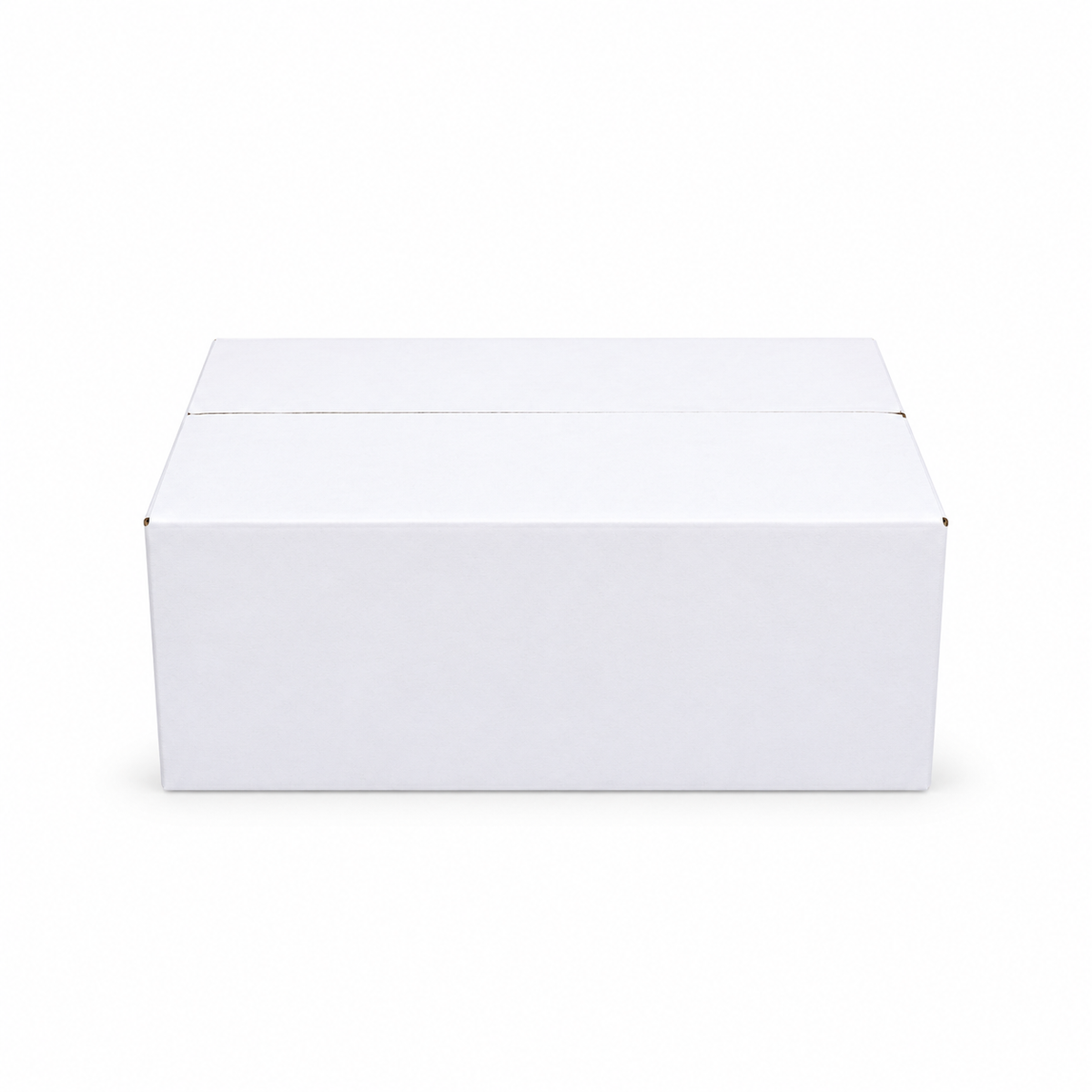 270 x 160 x 120mm Regular Slotted Mailing Box White B41