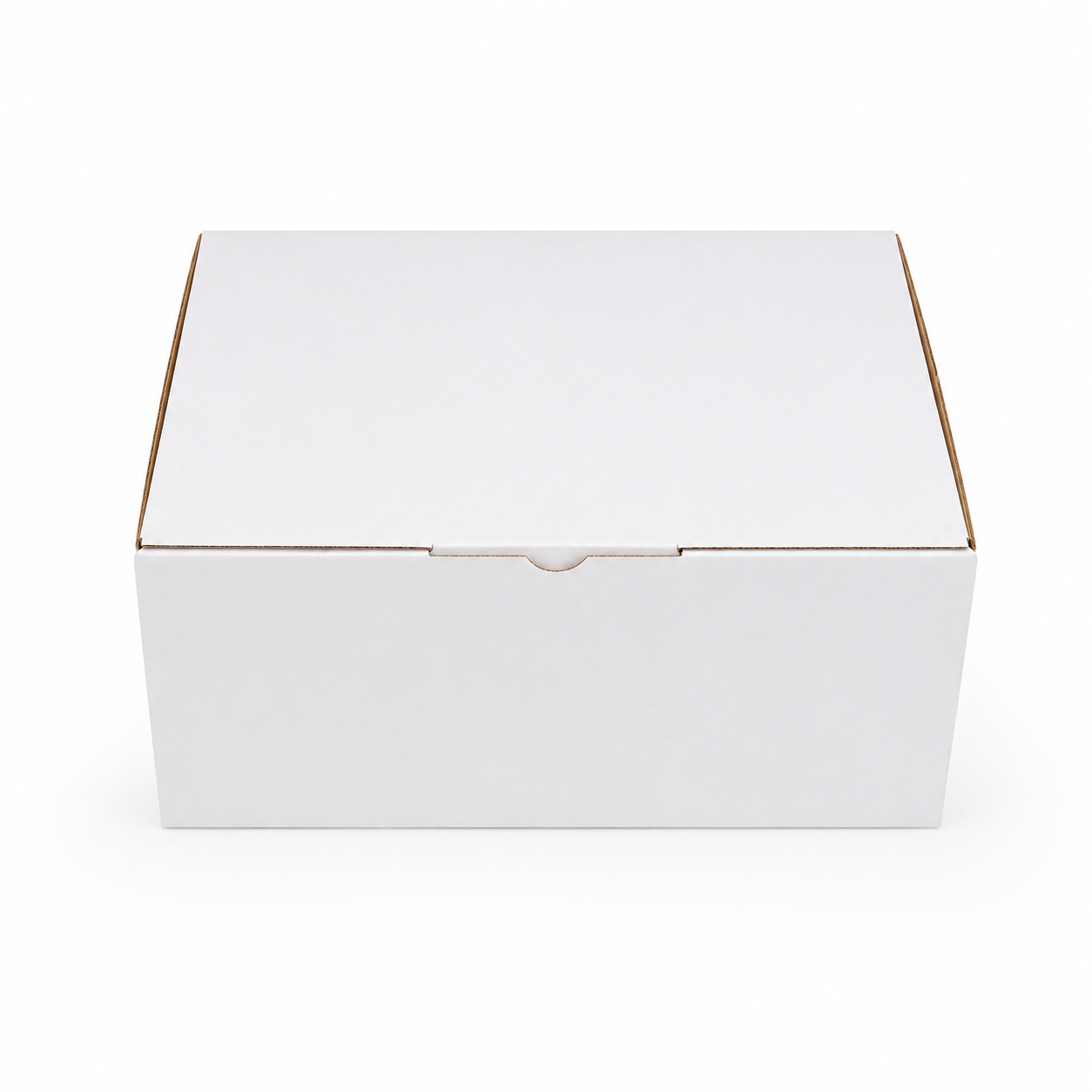 100pcs 220 x 160 x 100mm Diecut White Mailing Box B40
