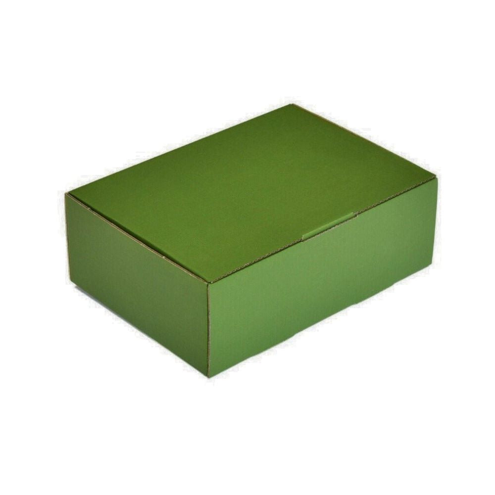 220 x 160 x 77mm A5 Diecut Green Mailing Box B56 - eBPak
