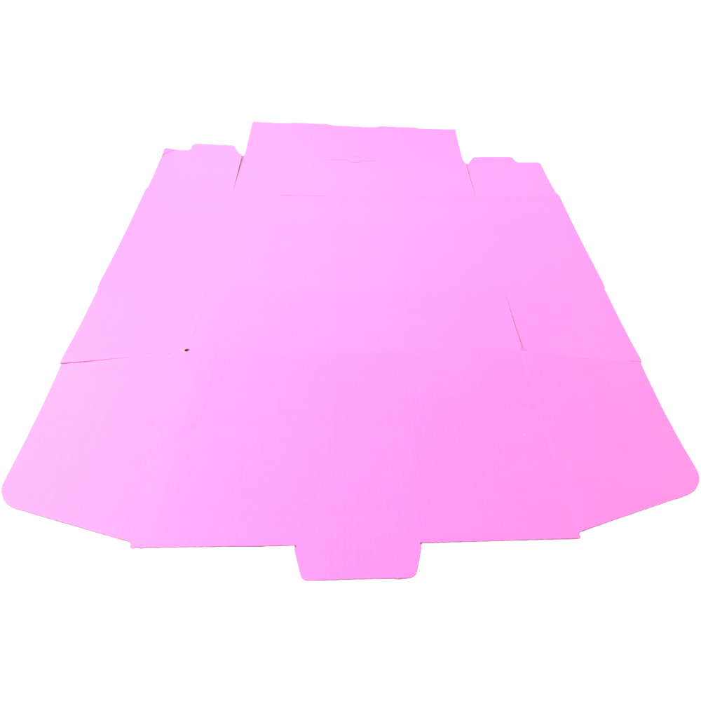 270 x 200 x 95mm Die cut Hot Pink Postal Box B163
