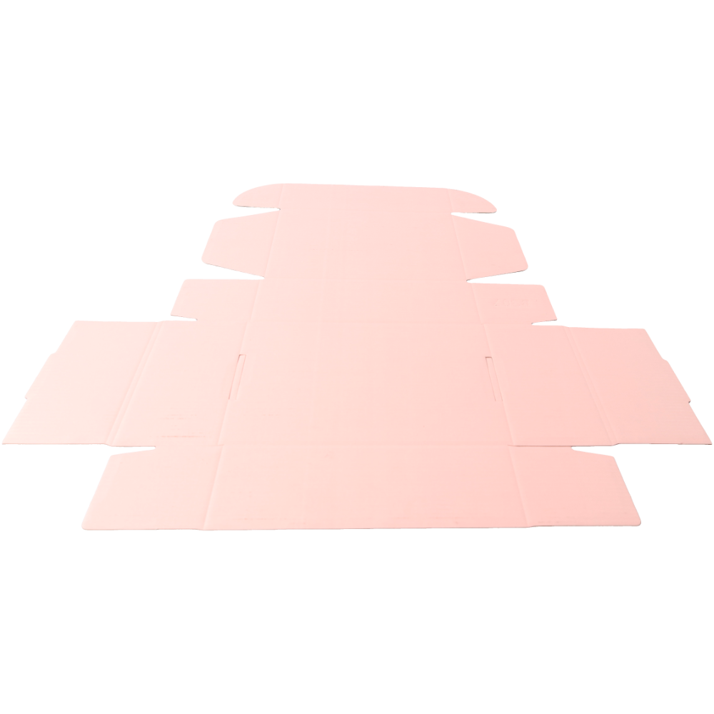 220 x 160 x 77mm A5 Die cut Rose Pink Mailing Box B284