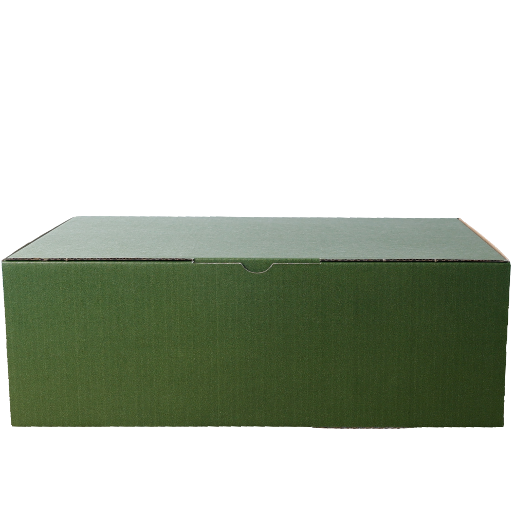 310 x 230 x 105mm A4 Die cut Green Mailing Box B60