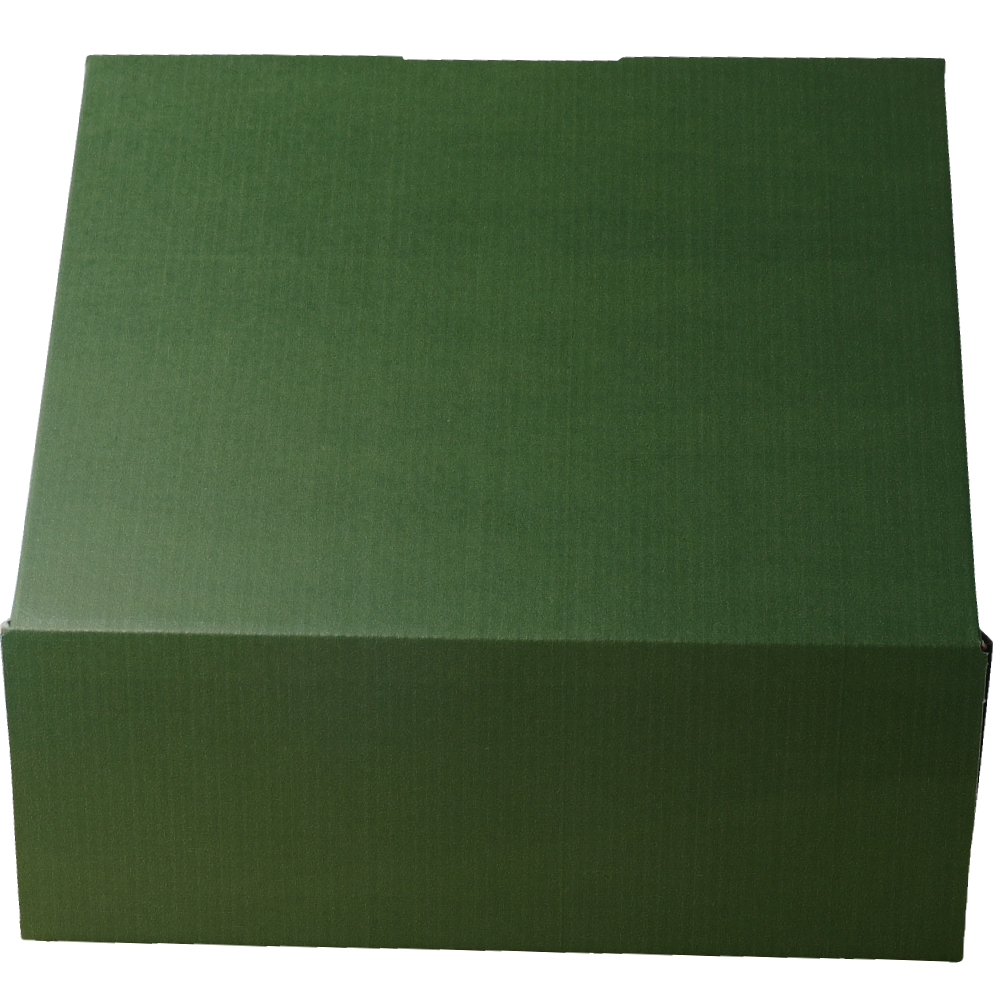 310 x 230 x 105mm A4 Die cut Green Mailing Box B60